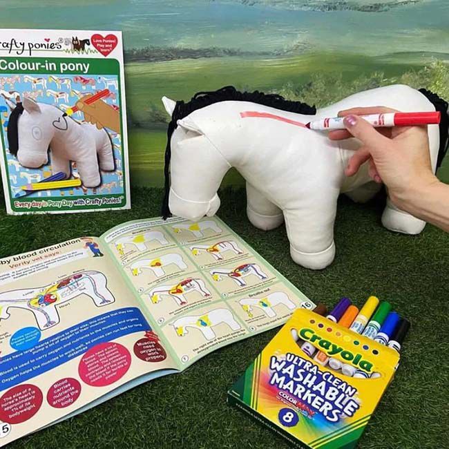 Crafty Ponies Vinyl Color-In Pony with Markers image number null
