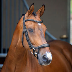 Shires Velociti Lusso Ergonomic Curved Flash Bridle