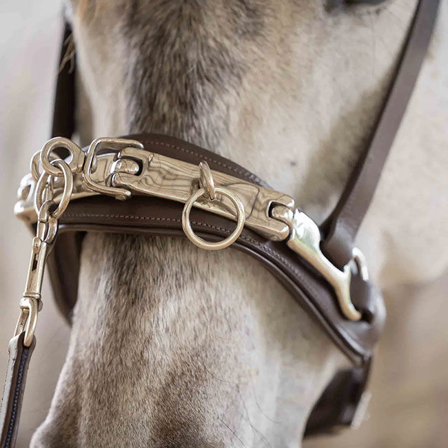 Equinavia Saga Lunge Cavesson - Chocolate Brown image number null