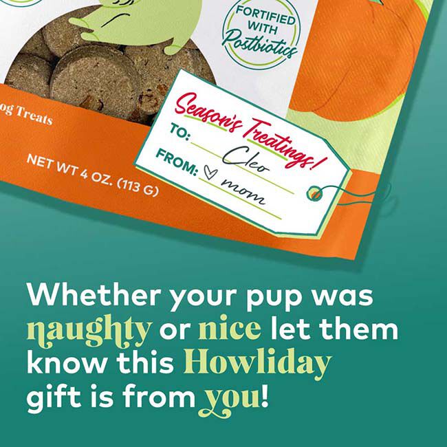 Honest to Goodness Plant Snacks Howliday Treats - Pumpkin Spice Recipe - 4 oz image number null