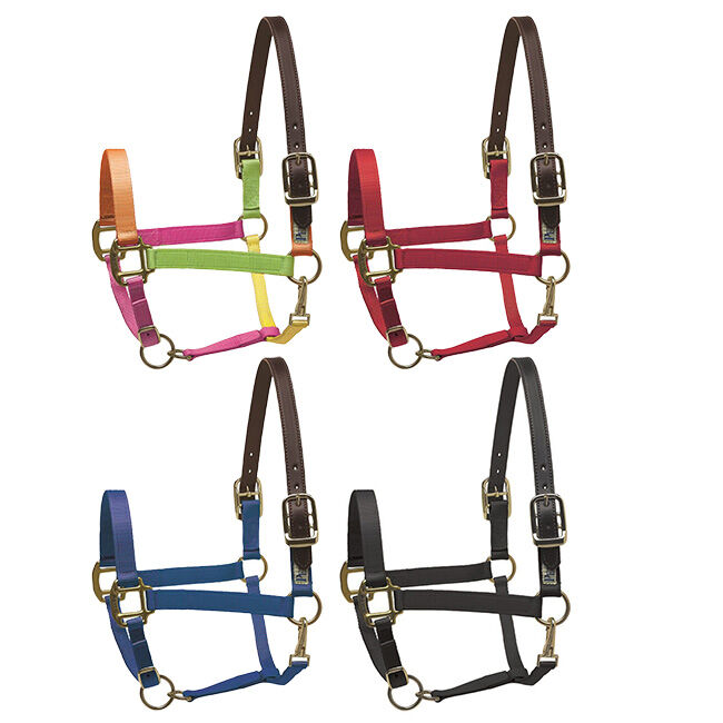 Perri's Nylon Safety Halter Hunter Green image number null