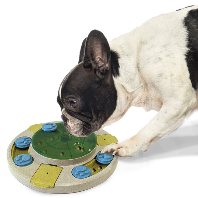 Spot Seek-A-Treat Spinner Puzzle image number null