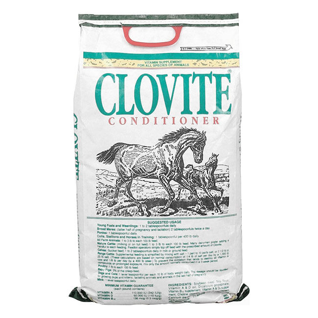 Zoetis CLOVITE Conditioner Powder Supplement image number null