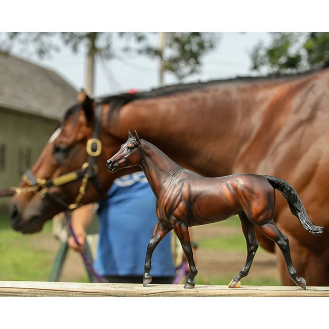 Breyer Cody's Wish image number null