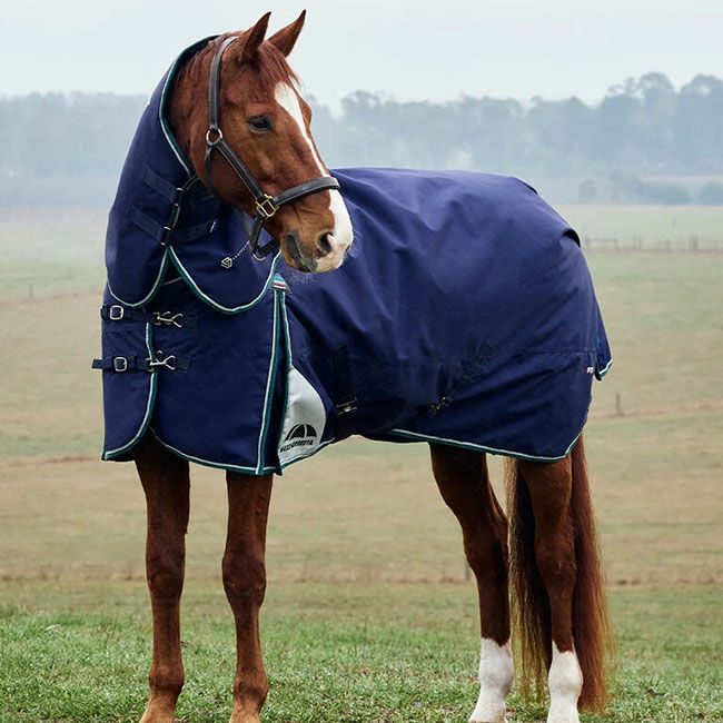 WeatherBeeta ComFiTec Plus Dynamic Turnout Detach-a-Neck (0g Fill) - Navy/Forest Green image number null