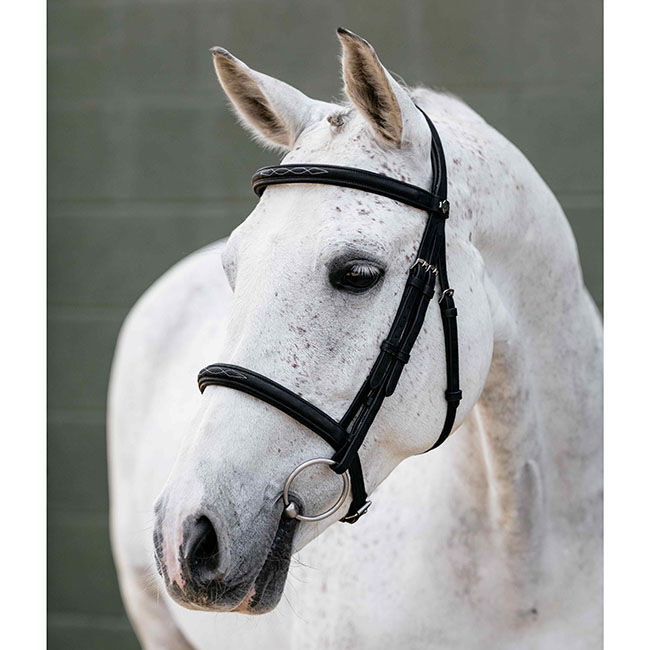 LeMieux Arika Classique Cavesson Bridle - Black image number null