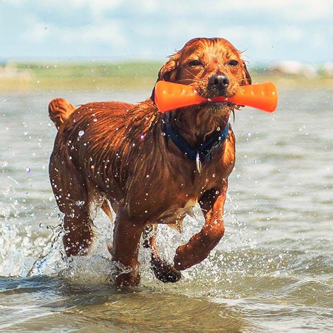 BIONIC Urban Stick - Durable Dog Toy for Power Chewers image number null