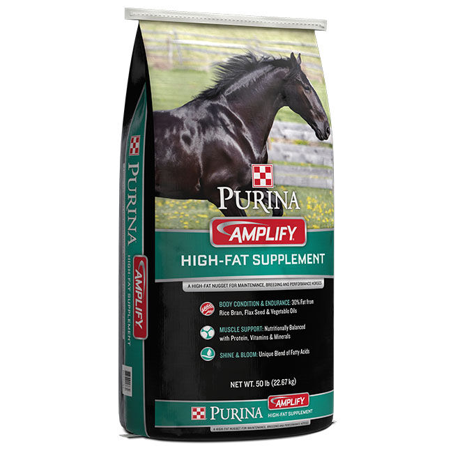 Purina Mills Amplify - High-Fat Supplement Nuggets image number null