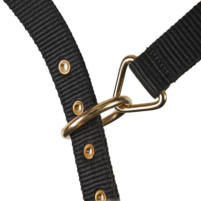 Shires Fleece-Lined Lunge Cavesson - Black image number null