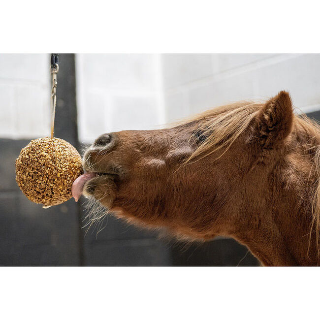 Likit Granola Stall Ball image number null