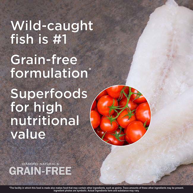 Diamond Naturals Grain-Free Dog Food - Whitefish & Sweet Potato Formula image number null