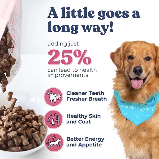 HealthyBud Meal Bites Freeze-Dried Raw Dog Food - Lamb & Salmon Recipe image number null