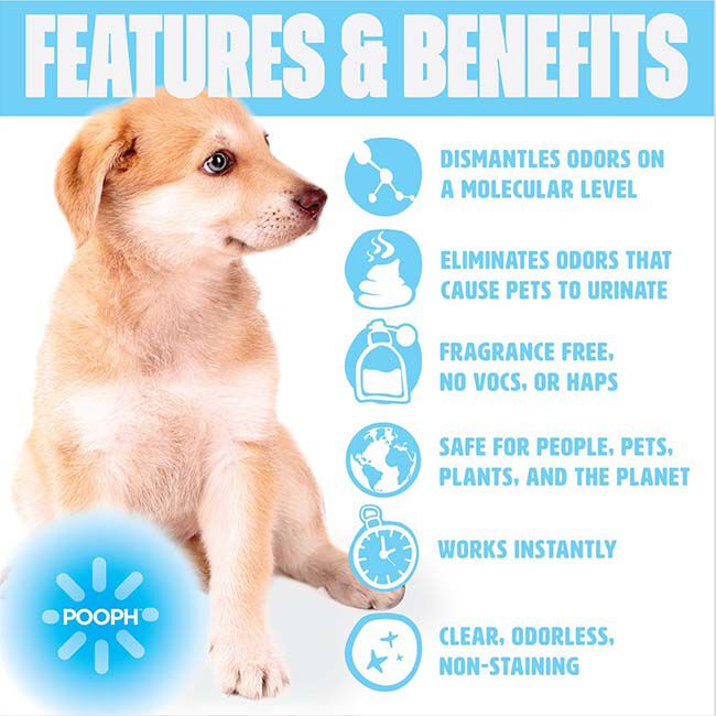 POOPH Cat & Dog Odor & Stain Eliminator - 20 oz image number null