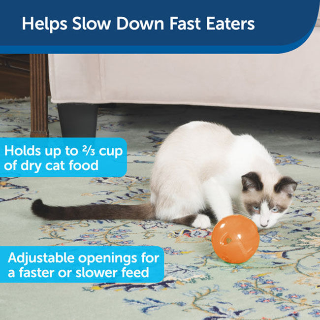 PetSafe SlimCat Interactive Feeder image number null