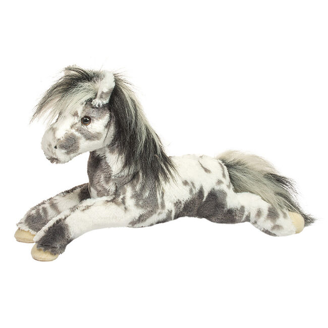 Douglas Starsky Appaloosa Horse image number null