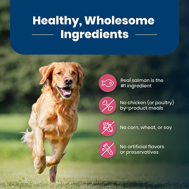 Blue Buffalo Life Protection Formula Healthy Weight Dog Food - Salmon & Brown Rice Recipe image number null
