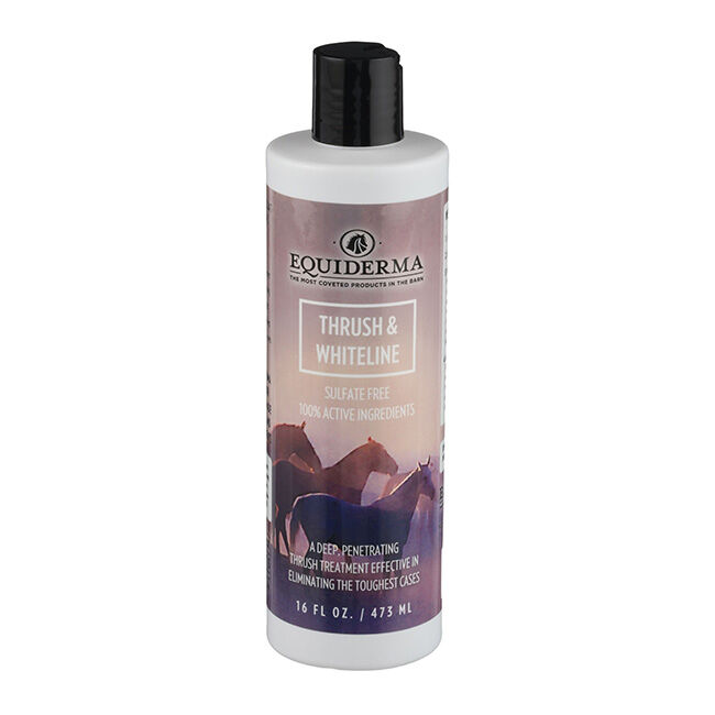 Equiderma Thrush & Whiteline Treatment 16 oz  image number null