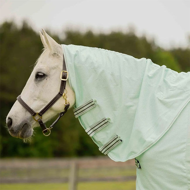 Equinavia Brisk Fly Sheet with Detachable Neck - Misty Jade image number null