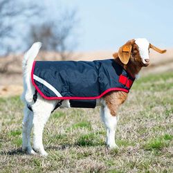 Horseware Goat Coat (100g Light) - Navy/Red