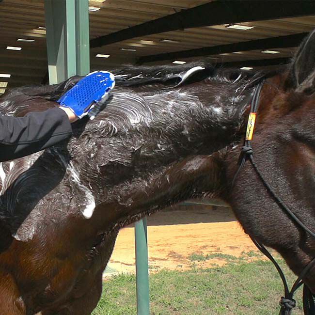 Vetericyn FoamCare Equine Shampoo image number null