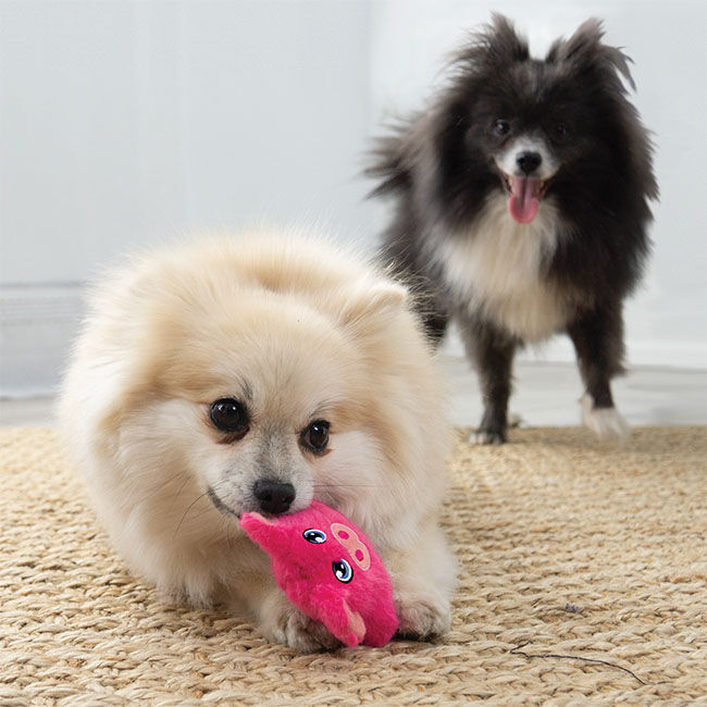 KONG Snuzzles Dog Toy - Mini - Pig image number null