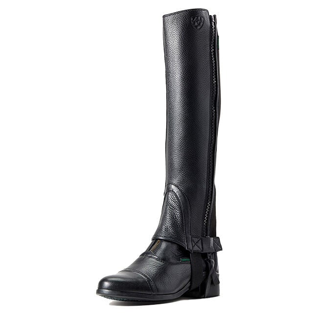 Ariat Breeze Half Chaps - Black image number null