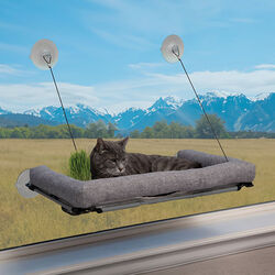 K&H Pet EZ Mount Deluxe Bolstered Window Kitty Sill Cat Perch with Cat Grass Grow Station