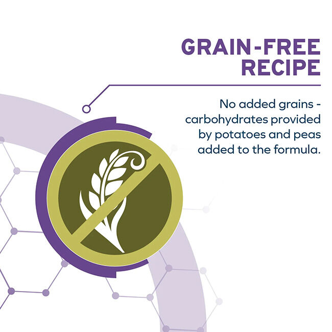 Forza10 DailyPro Sensitive Skin Support Food for Medium & Large Dogs - Wild-Caught Anchovy image number null