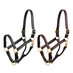 Perri's Leather Premium Leather Show Halter