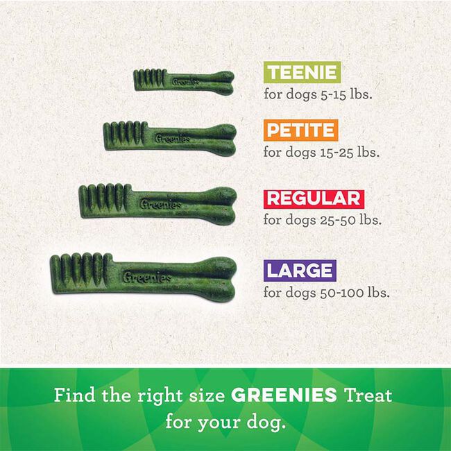 Greenies Original Dental Dog Chews image number null