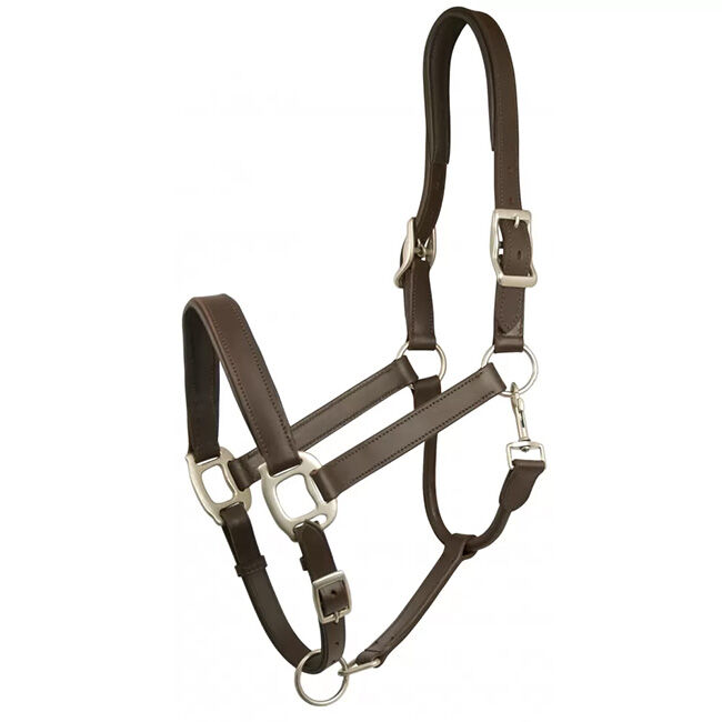Gatsby Padded Leather Fully Adjustable Halter - Havana image number null