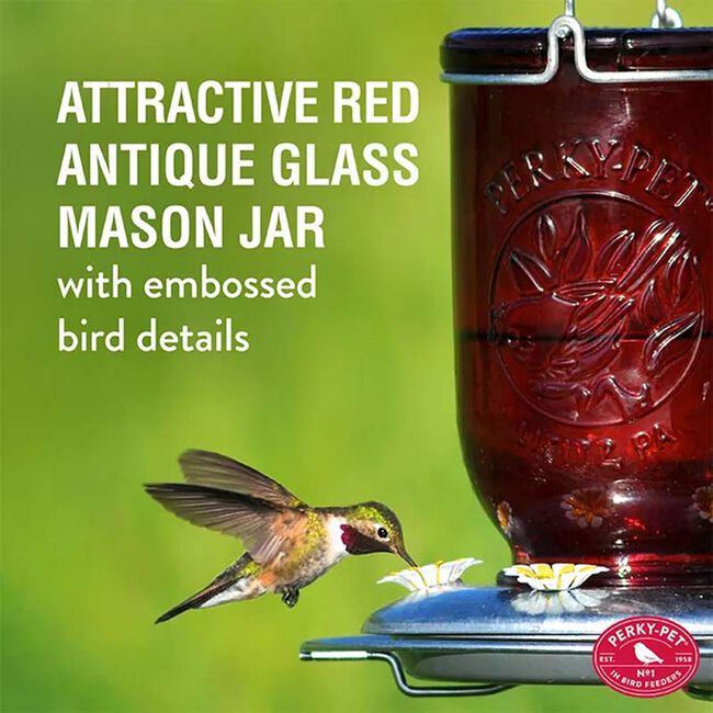 Perky-Pet Red Mason Jar Hummingbird Feeder image number null