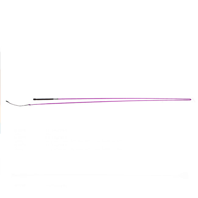 Toklat Lunge Whip image number null