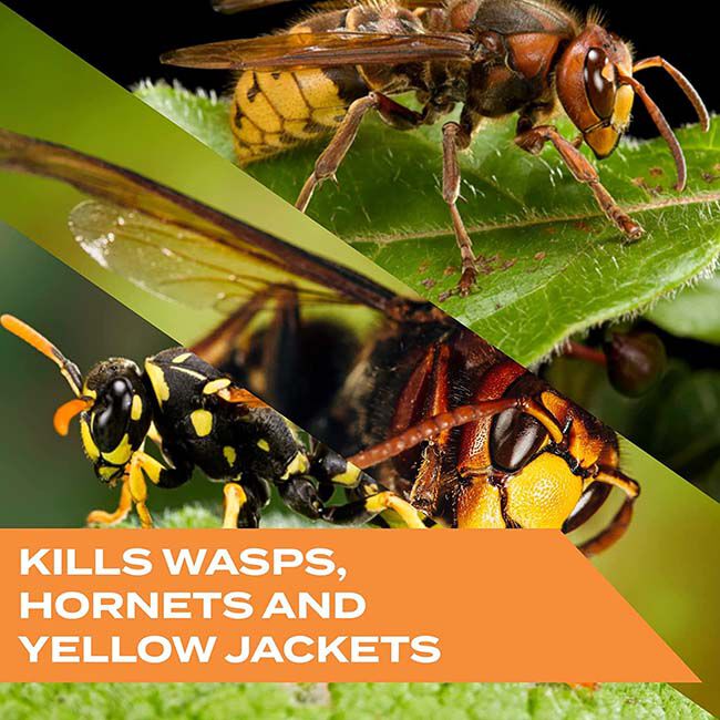 STEM Kills Wasps, Hornets & Yellow Jackets - 10 oz image number null