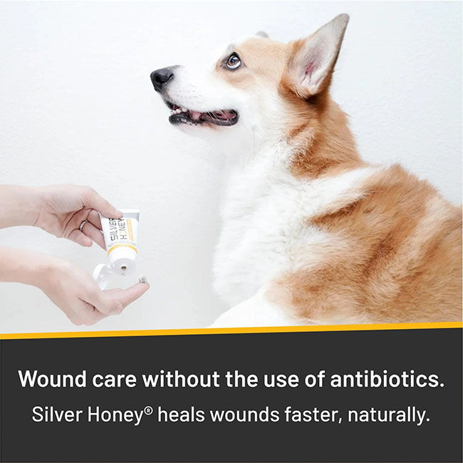 Absorbine Silver Honey Hot Spot & Wound Care Ointment - 2 oz image number null