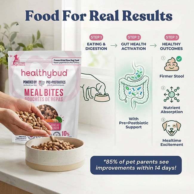 HealthyBud Meal Bites Freeze-Dried Raw Dog Food - Lamb & Salmon Recipe image number null