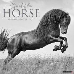 Willow Creek Press 2027 Wall Calendar - Spirit of the Horse