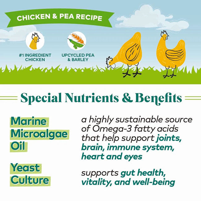 Honest to Goodness Protein Bites for Dogs - Chicken & Peas - 5.5 oz image number null