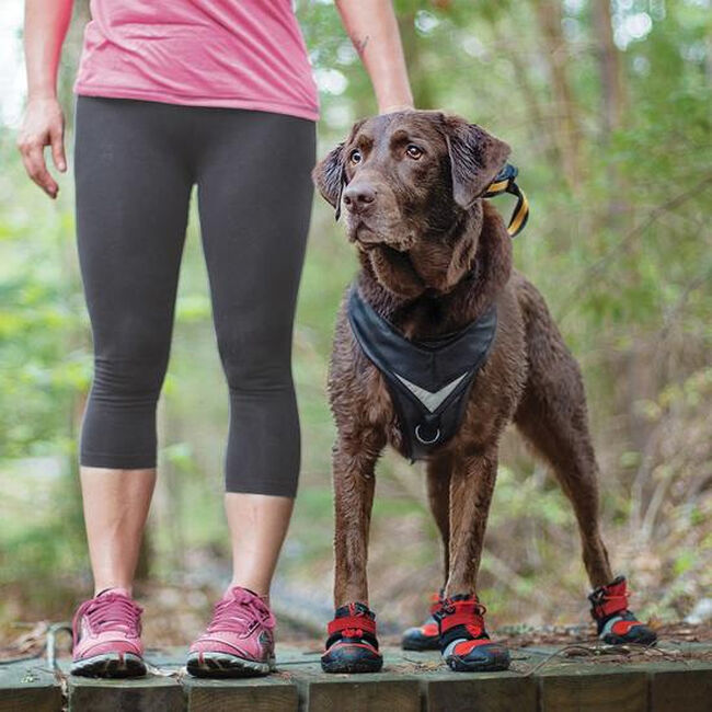 Kurgo Blaze Cross Dog Shoes - Red - Closeout image number null