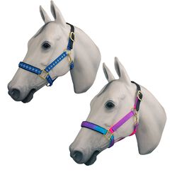 Horse Fare Breakaway Halter