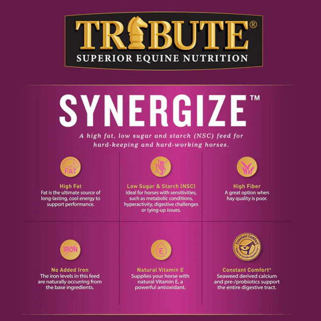Tribute Synergize - Low NSC, High Fat Pellets - 50 lb image number null