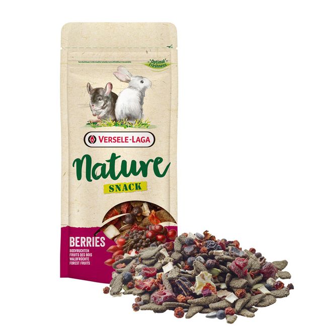 Versele-Laga Nature "Forest Fruits" Snack for Small Animals image number null