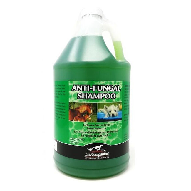 First Companion Veterinary Anti-Fungal Shampoo image number null
