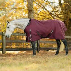 Equinavia Norse Lightweight Turnout Blanket (100g) - Burgundy