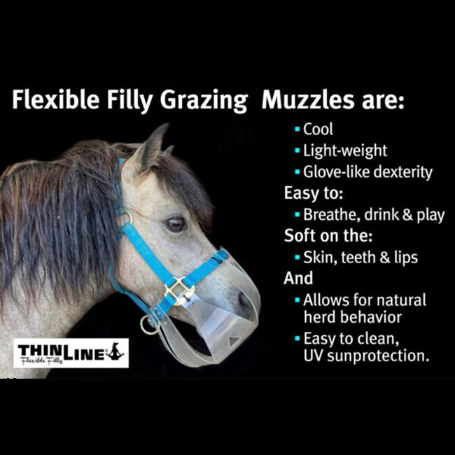 TLFFMUZL-3.jpg image number null