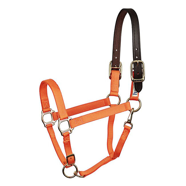 Perri's Leather Nylon Safety Halter image number null