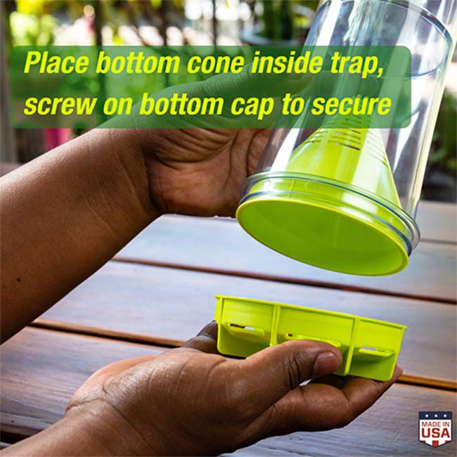 RESCUE! W-H-Y Trap for Wasps, Hornets & Yellowjackets image number null