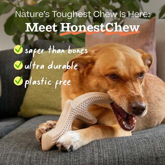 Woof HonestChew - Antler image number null