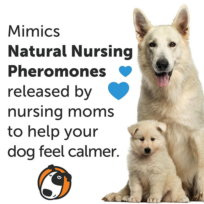 ThunderWorks ThunderEase Dog Calming Spray - 60 mL image number null