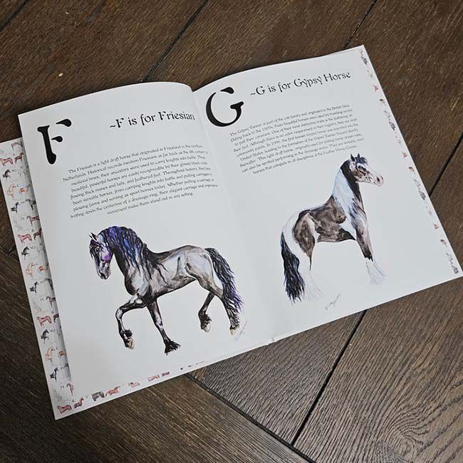 Sona Equestrian ABC Horse Breeds image number null